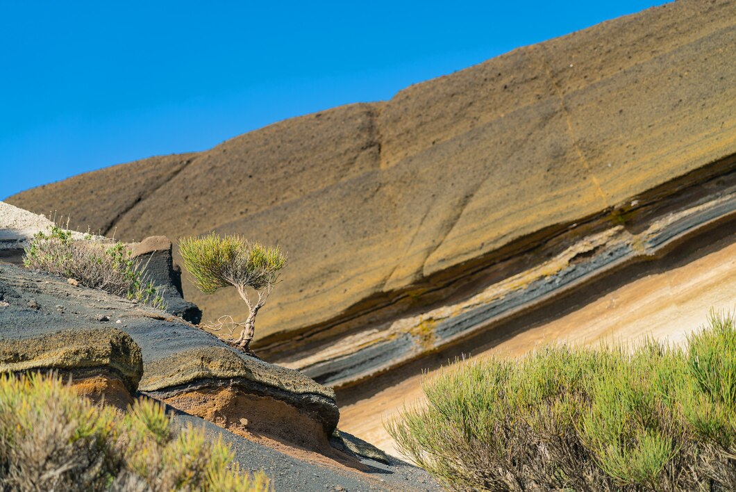 Slope Stability Services